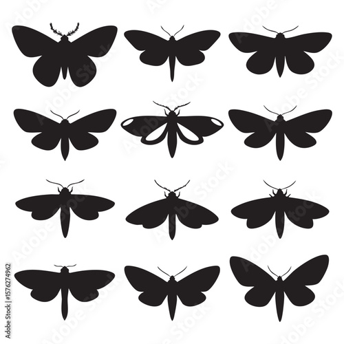 Collection of twelve black moth silhouettes isolated on white background silhouette