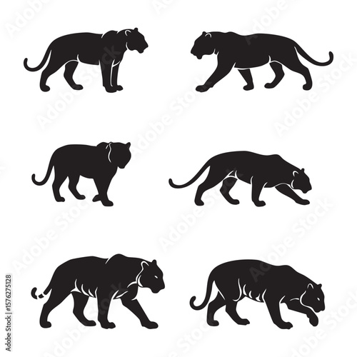 Collection of six panther silhouettes in various poses isolated on white background silhouette