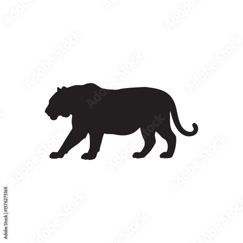 Black silhouette of a walking tiger isolated on white background silhouette