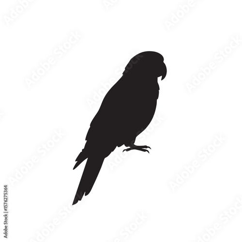 Black silhouette of a perched parrot with detailed feathers isolated on white background silhouette