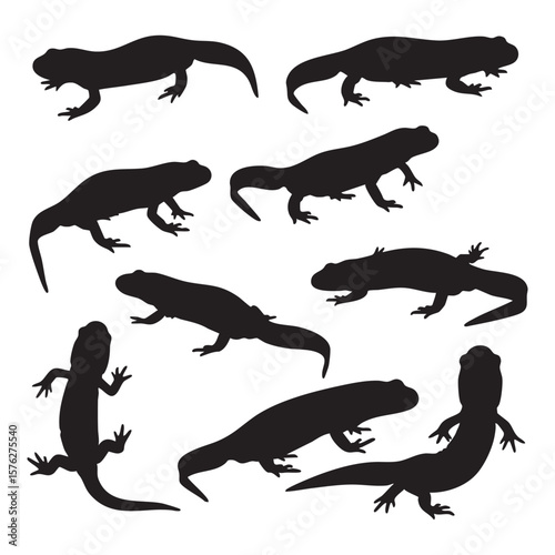 Collection of salamander silhouettes isolated on white background silhouette