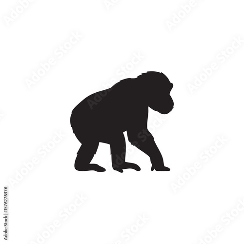 Gorilla walking on all fours silhouette isolated on white background