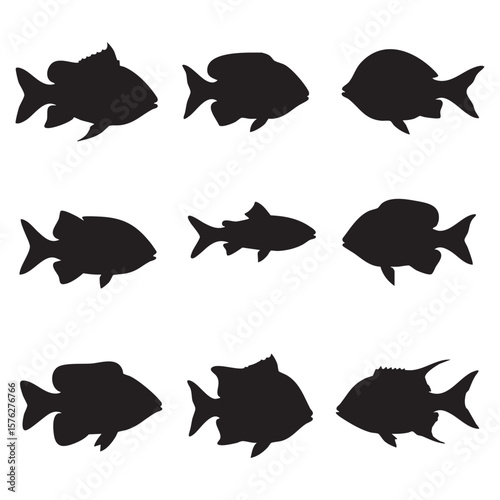 Collection of nine black fish silhouettes isolated on white background