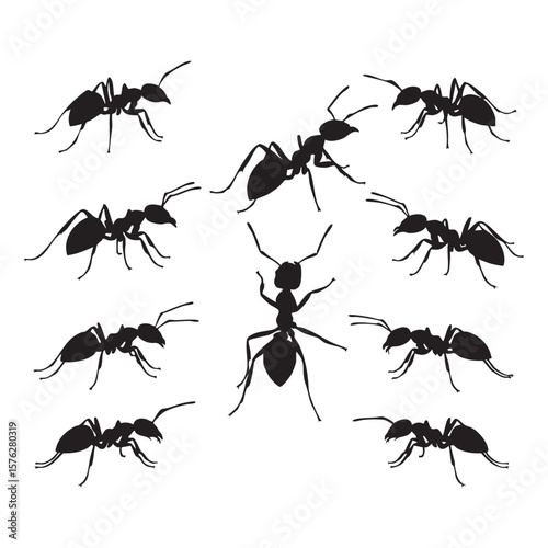 Collection of black ant silhouettes in various poses isolated on white background silhouette
