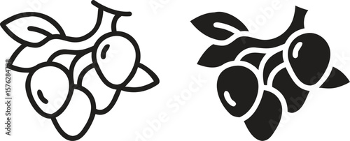 Olive Branch Icon Vector, Fruit Outline and Solid Mediterranean Symbol
