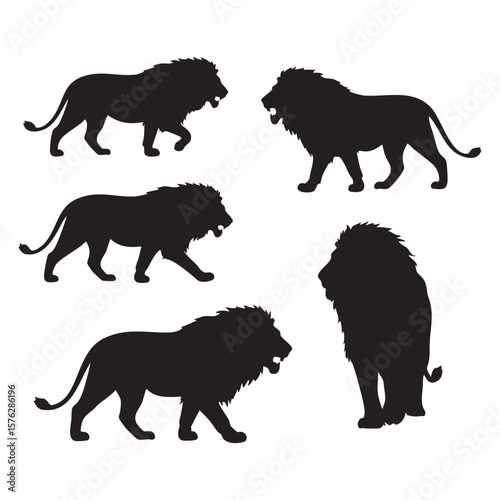 Collection of lion silhouettes in various poses isolated on white background silhouette