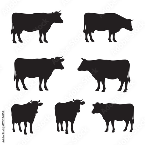 Collection of six black cow silhouettes isolated on white background silhouette
