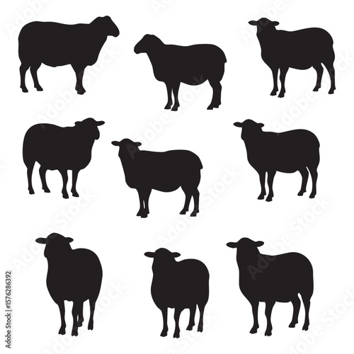 Collection of nine sheep silhouettes standing isolated on white background