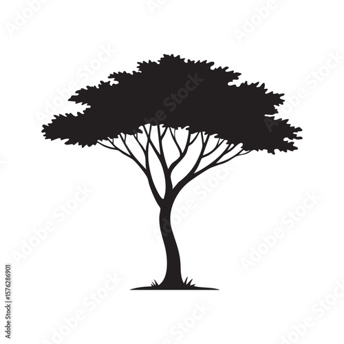 Black silhouette of a leafy tree with spreading branches isolated on white background silhouette