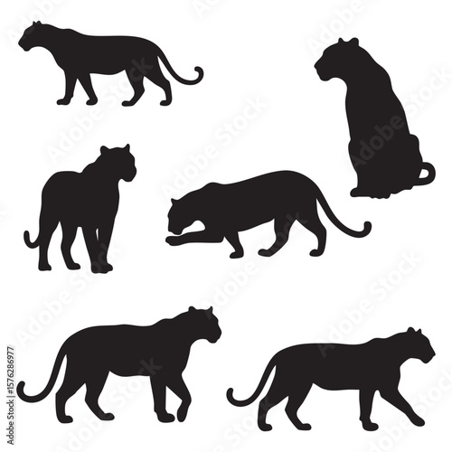 Collection of black panther silhouettes in various poses isolated on white background silhouette