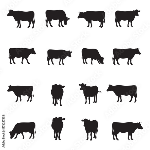 Collection of black cow silhouettes in various poses isolated on white background silhouette