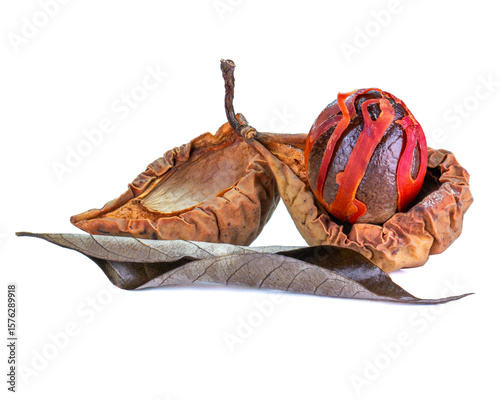 Whole nutmeg seed wrapped in red mace sitting in a dried shell, with dried leaf detail on white background.