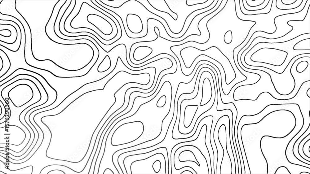 Fluid Monochrome Dynamic Abstract Lines and Shapes in Motion