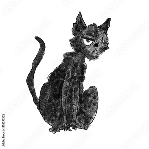 Φωτογραφία A black cat with a missing eye from one of Edgar Allen Poe's stories