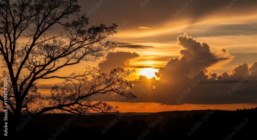 Naklejka premium Majestic Sunset Over Rolling Hills With Silhouetted Tree