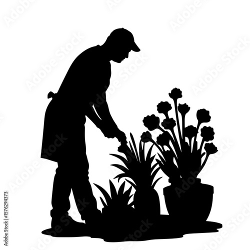 Gardener tending to flowers while kneeling in silhouette style  