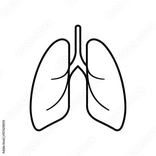 lung line art
