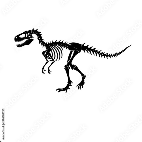 tyrannosaurus rex skeleton