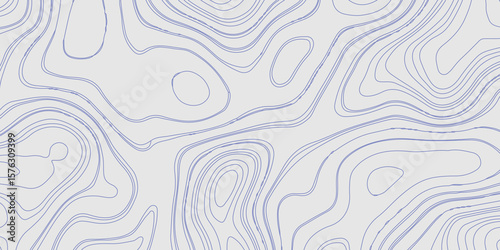 Vector grid map.Topographic contour map on  background