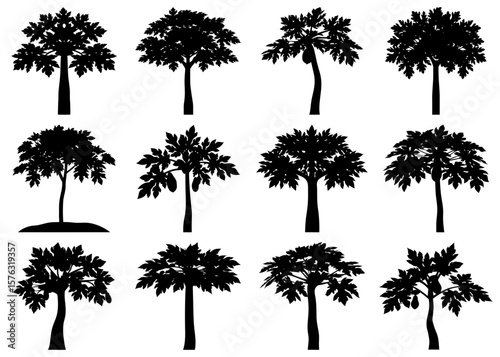 Detailed black silhouette of multiple tree trunks bundled together in a forest