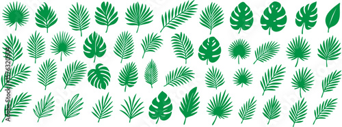Tropical green palm leaves set on transparent background. Collection of various exotic leaf silhouettes perfect for summer, jungle, or botanical design themes. Vector EPS 10