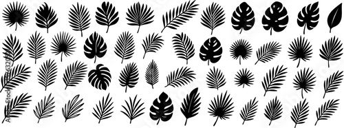 Black tropical palm leaves set on transparent background. Silhouettes ideal for modern botanical design, jungle vibes, and minimalist nature compositions. Vector EPS 10