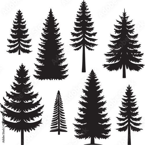 Collection of silhouettes various evergreen trees
