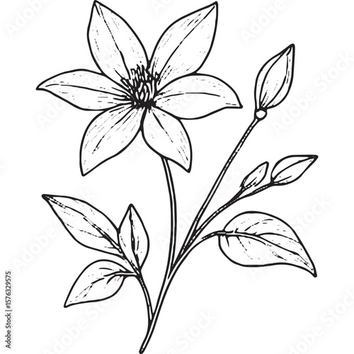 Beautiful Black and White Floral Line Art Illustrations for Design Projects