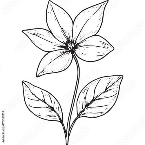 Beautiful Black and White Floral Line Art Illustrations for Design Projects