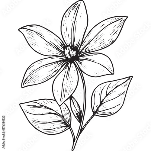 Beautiful Black and White Floral Line Art Illustrations for Design Projects