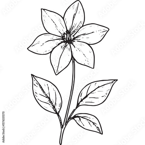 Beautiful Black and White Floral Line Art Illustrations for Design Projects