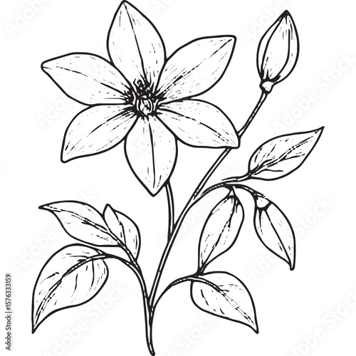 Beautiful Black and White Floral Line Art Illustrations for Design Projects
