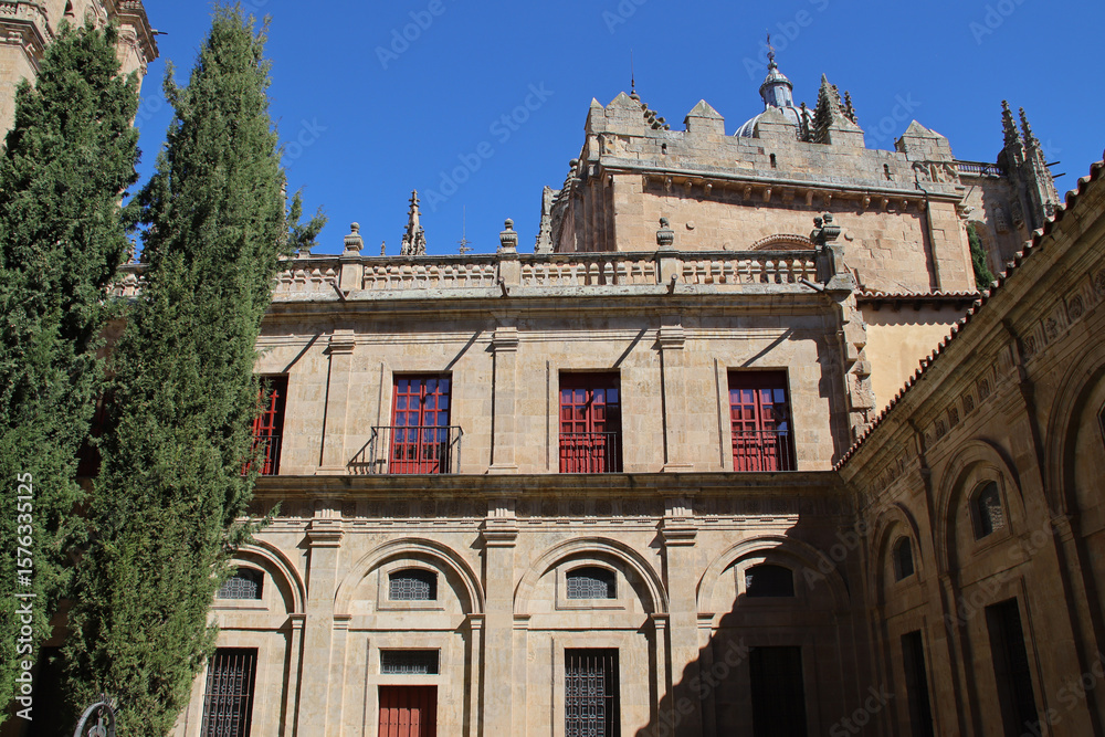 Obraz premium old stone building at the cathedral of salamanca in spain 