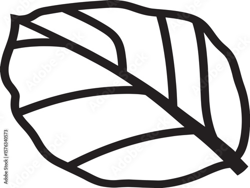 Healthy Food Wrapped in Leaf Vector Outline