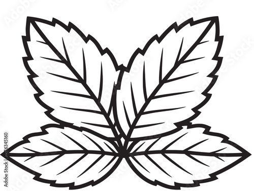 Fresh Mint Leaf Vector in Modern Line Art