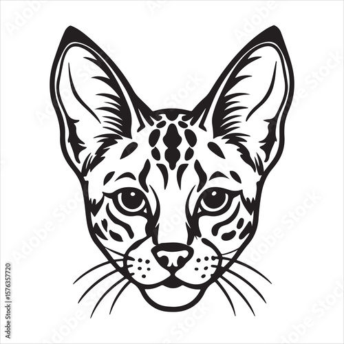 Savanna Stalker: The Agile Life of the Serval Cat