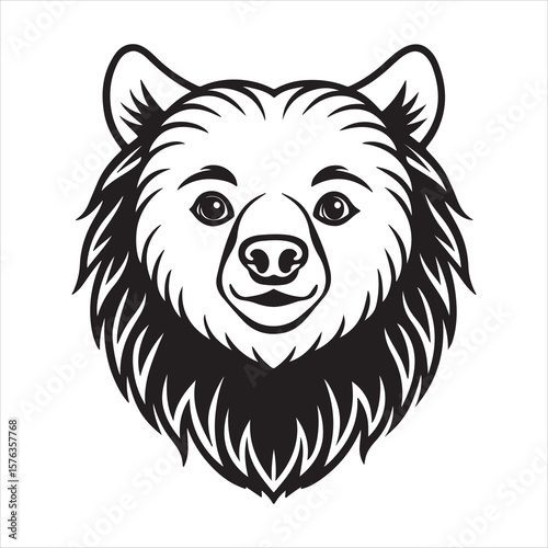 Forest Forager: The Curious Life of the Sloth Bear