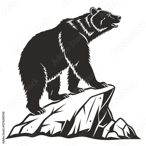 vector illustration of a bear