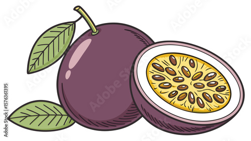 Passion fruit drawing illustration vector graphic whole and half cut with leaves for design asset 100