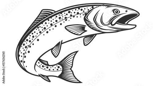 Jumping salmon fish vector illustration for logo design or fishing sport and seafood market graphic art