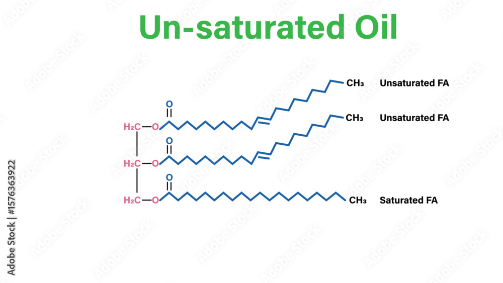 Fototapeta premium Unsaturated Oil Structure: Triglyceride with Unsaturated Fatty Acids Vector Illustration