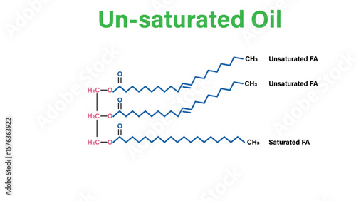 Unsaturated Oil Structure: Triglyceride with Unsaturated Fatty Acids Vector Illustration