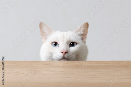 White cat with striking blue eyes peering curiously over a light-colored wooden surface, minimalist design.