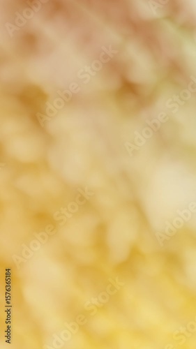 Abstract Soft Blurred Background with Warm Yellow and Brown Tones