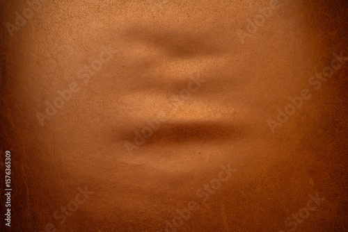 Real Leather Fabric, Texture, 