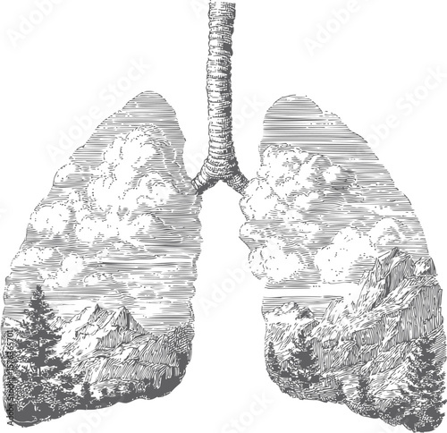Illustration of human lungs with mountains and trees, artistic nature concept. Vector illustration