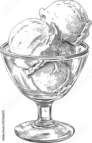Black and white sketch of ice cream scoops in a glass dessert bowl. Vector illustration