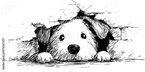 Puppy peeking through a broken wall with a curious expression, black and white sketch. Vector illustration