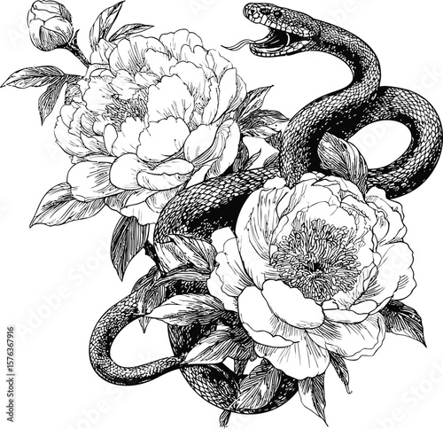 Intricate black and white of a snake entwined with peony flowers in sketch style. Vector illustration