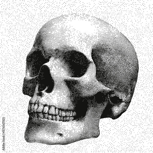 Dotwork illustration of a human skull in black and white. Vector illustration